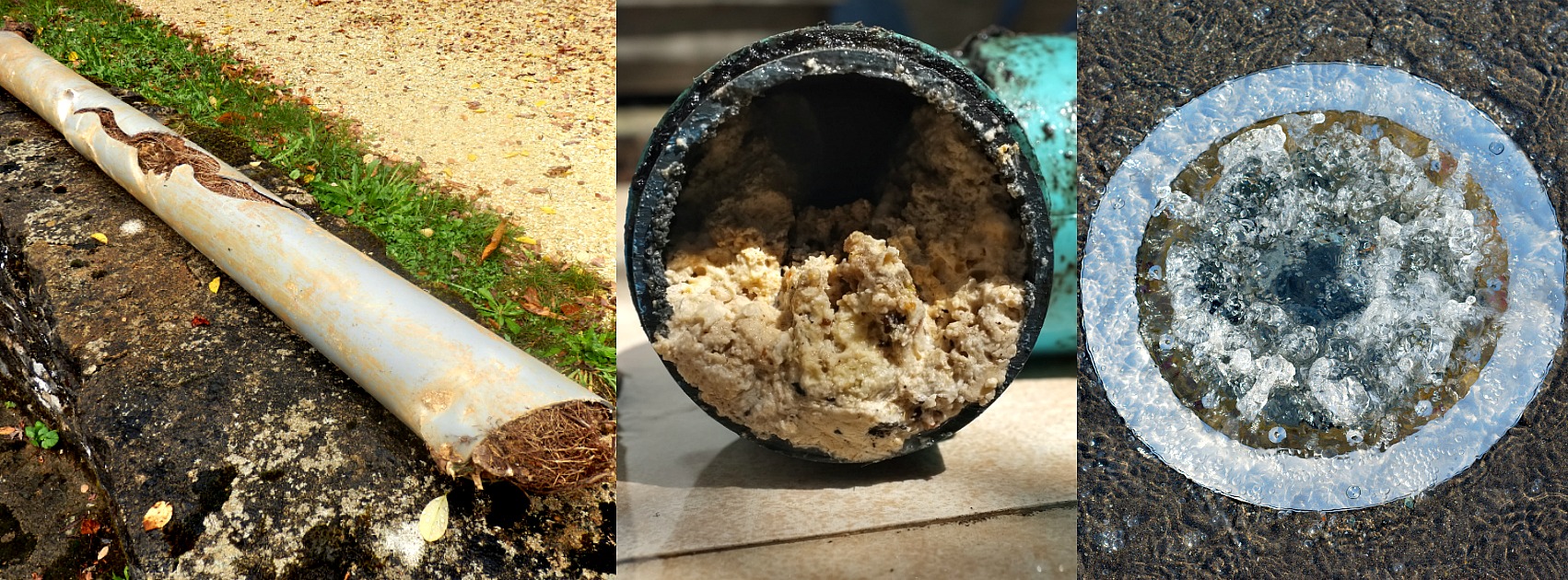 3 Warning Signs of a Clogged Sewer Line 
